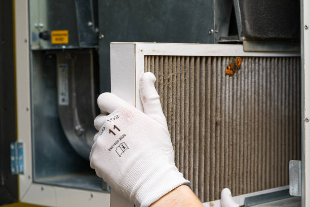 Best Ductwork Cleaning Services  in Glenmora, LA