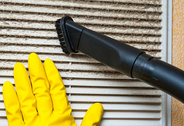 Best Air Vent Cleaning Services  in Glenmora, LA